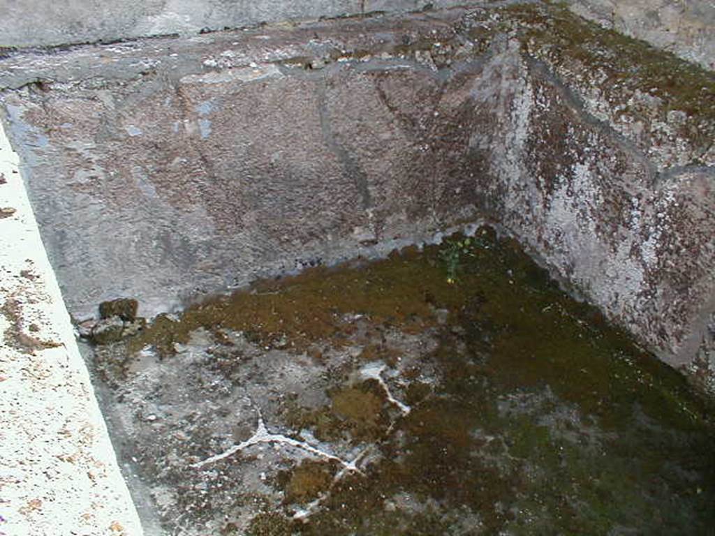 IX.8.6 Pompeii. September 2004. Room 31. Swimming pool.