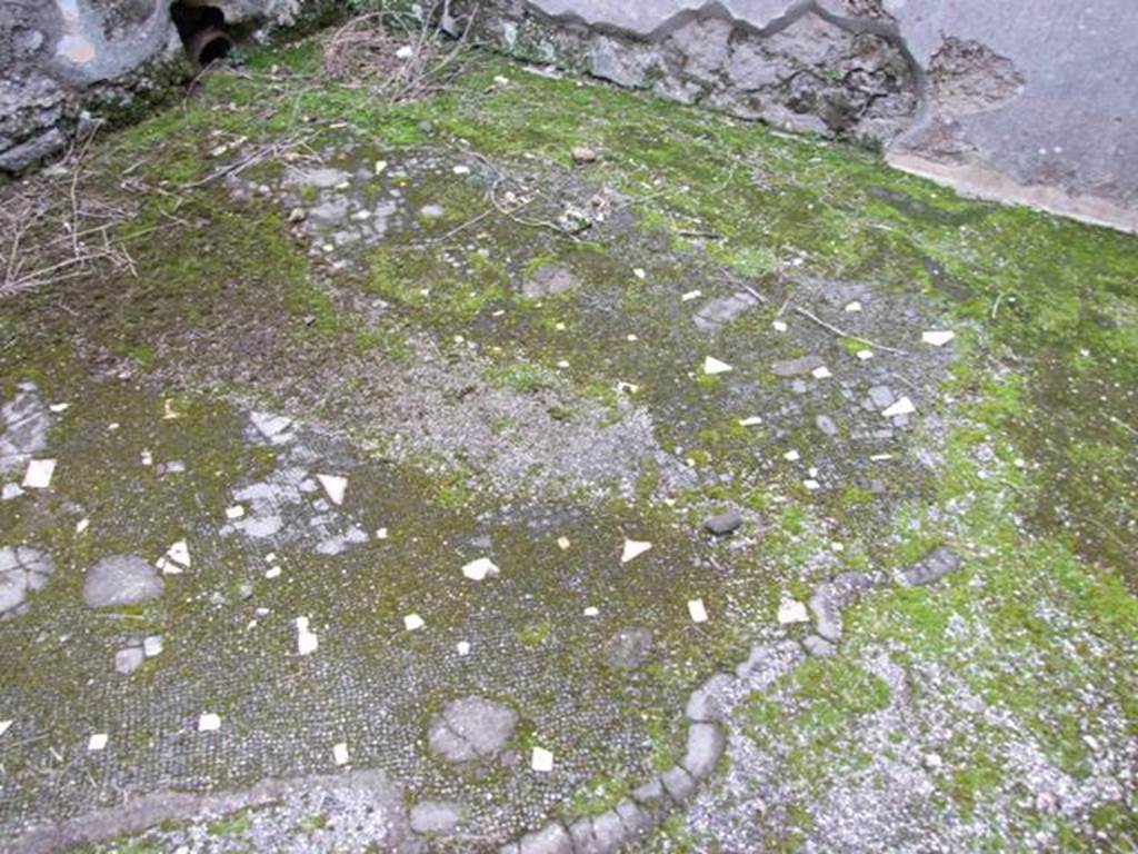 IX.8.6 Pompeii. March 2009. Room 31. Floor.