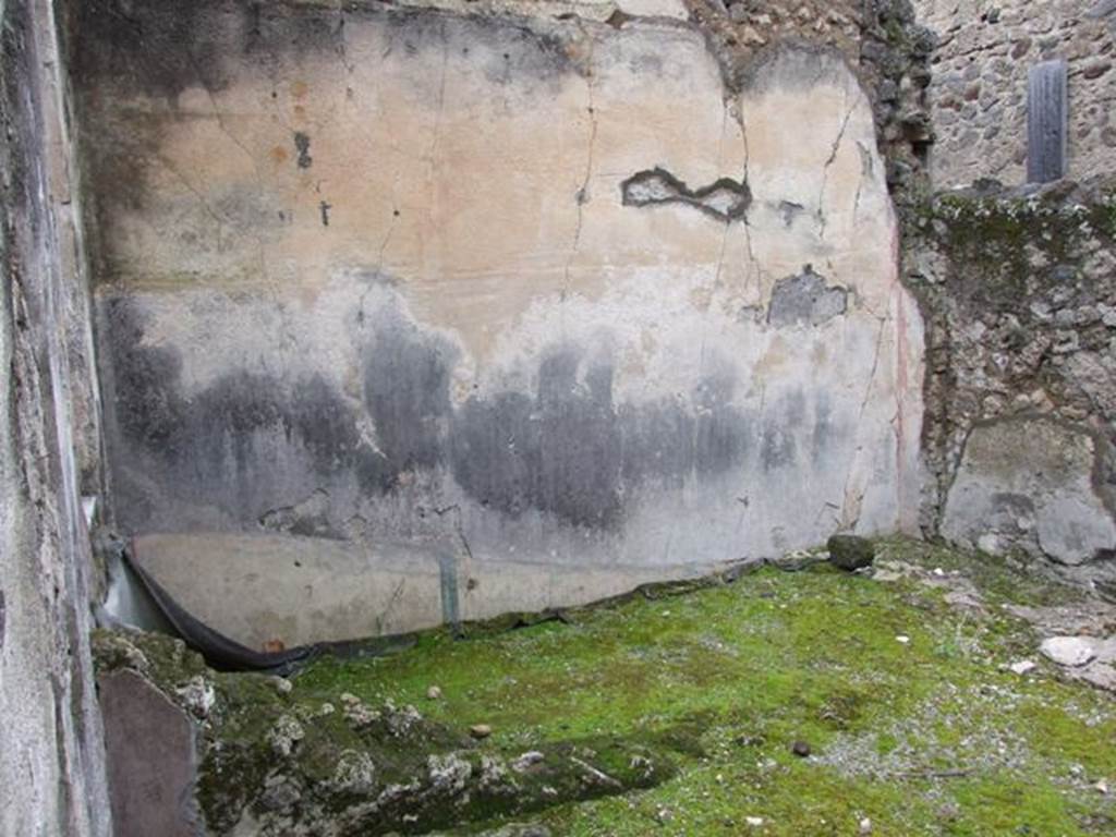 IX.8.6 Pompeii. March 2009. Room 32. West wall.