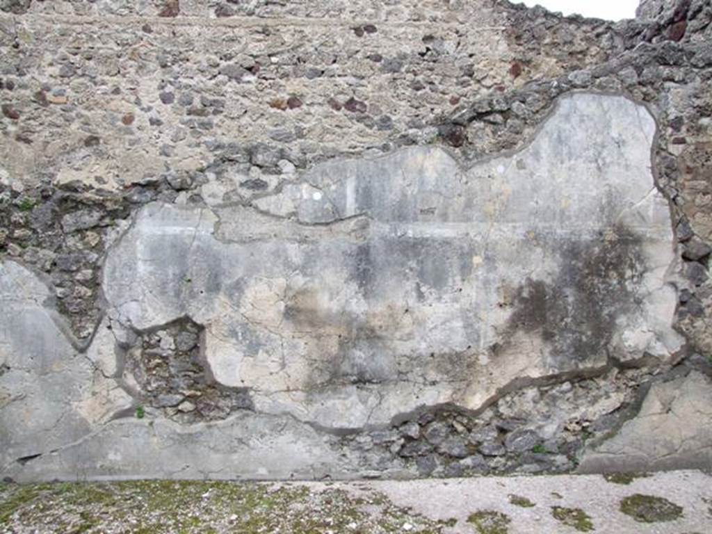 IX.8.6 Pompeii. March 2009. Room 32. North wall.