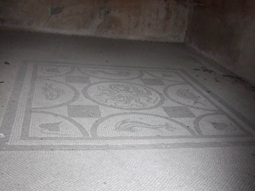 IX.8.6 Pompeii. March 2009. Room 33. Mosaic floor.