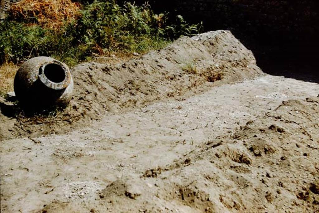 IX.9.6/10 Pompeii. 1961. Looking north-east across trench. The large terracotta dolium, with a capacity of approximately 425 litres, would have been used for making wine. 
Photo by Stanley A. Jashemski.
Source: The Wilhelmina and Stanley A. Jashemski archive in the University of Maryland Library, Special Collections (See collection page) and made available under the Creative Commons Attribution-Non Commercial License v.4. See Licence and use details.
J61f0815
