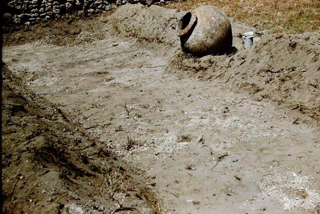 IX.9.6/10 Pompeii. 1961. Looking north-west.   Photo by Stanley A. Jashemski.
Source: The Wilhelmina and Stanley A. Jashemski archive in the University of Maryland Library, Special Collections (See collection page) and made available under the Creative Commons Attribution-Non Commercial License v.4. See Licence and use details.
J61f0825
