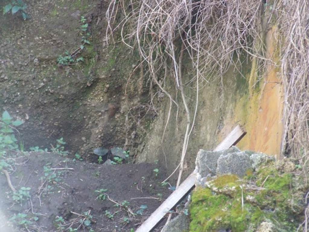 IX.9.13 Pompeii. March 2009. Unexcavated behind Room 5.