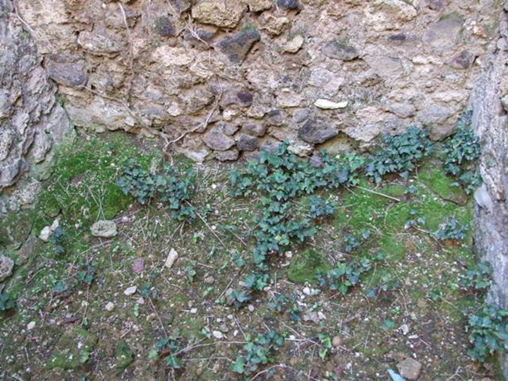 IX.9.13 Pompeii. March 2009. Room 10. Latrine. South wall.