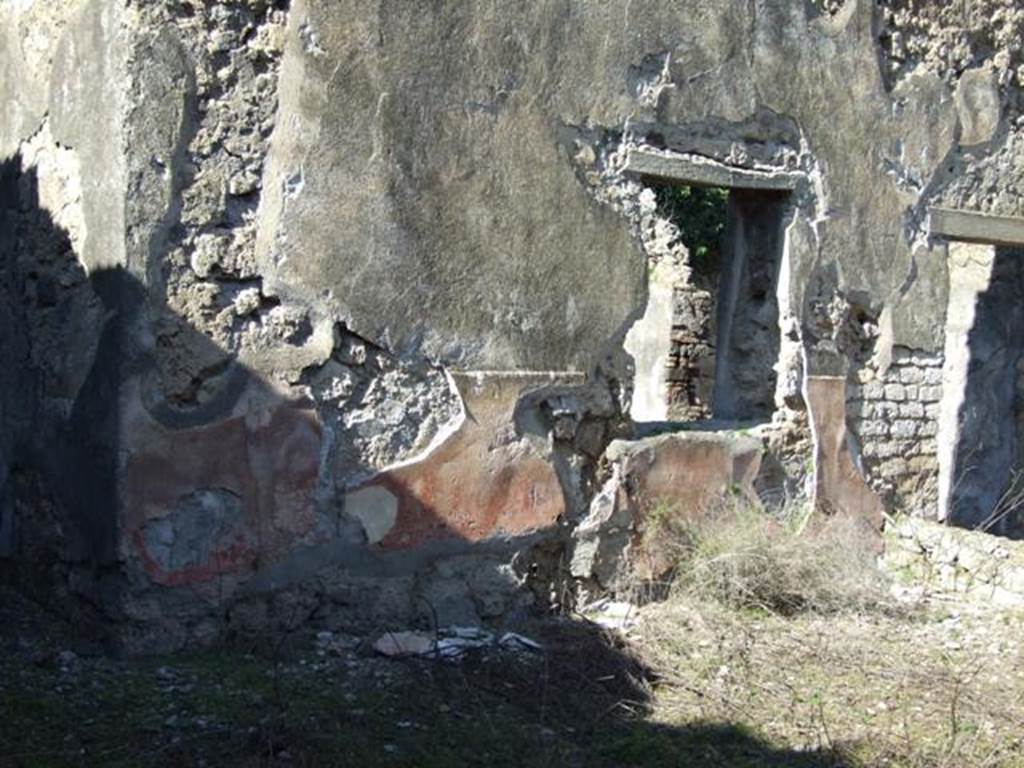 IX.9.13 Pompeii. March 2009. Room 6, Garden. North wall.