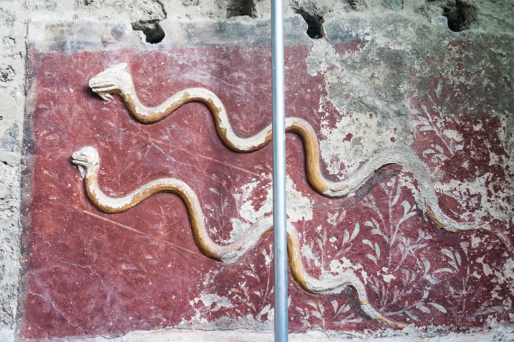 IX.10.1, Pompeii. July 2024. Room 12, upper south wall with two stucco serpents. Photo courtesy of Johannes Eber.
The upper register consists of a red background (1.30 x 2.10 m) surrounded by brown, in which two crested and bearded snakes are represented in stucco relief, among shrubs.
Serpenti in stucco dal registro superiore.
Il registro superiore è costituito da una specchiatura a fondo rosso (1,30 x 2,10 m) contornata di bruno, in cui sono rappresentati in rilievo di stucco due serpenti crestati e barbati, tra arbusti.
See PAP e-journal 6, 28.09.2023, p. 65, fig. 15. Download: PAP e-journals 2023 collection volumes 01-09 
