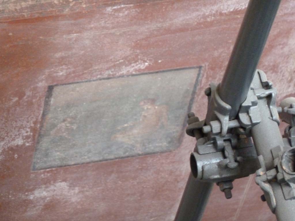 IX.12.9 Pompeii. May 2010. Room 12, detail of wall painting of Venus Pescatrice on north wall.