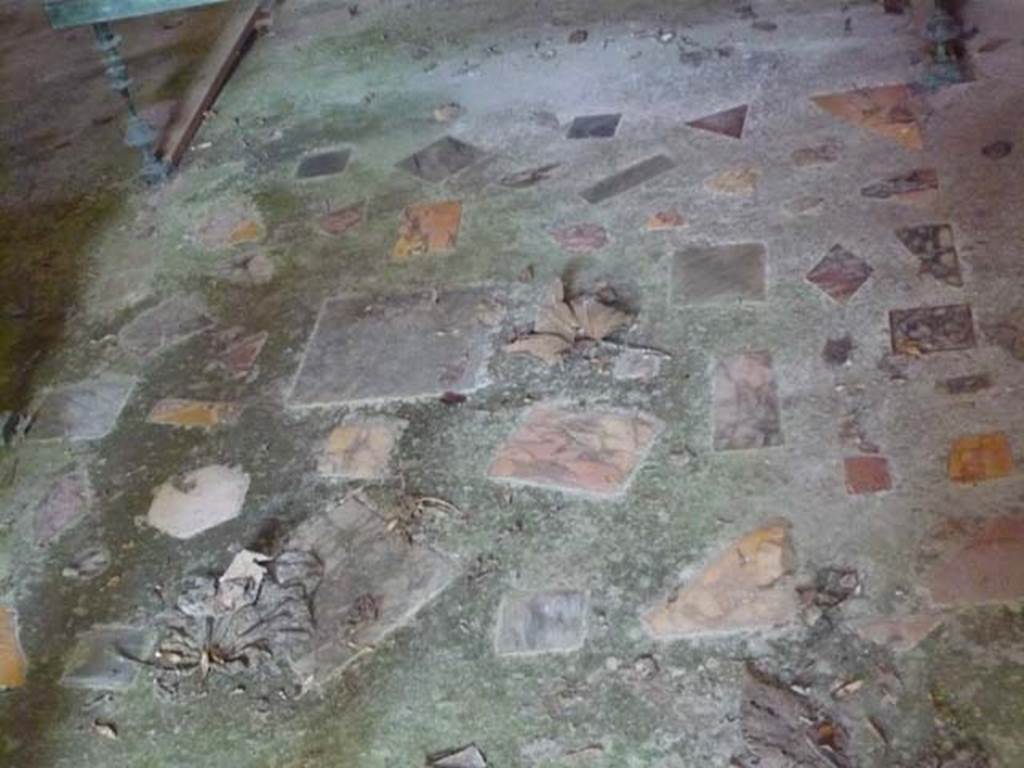 IX.13.1-3 Pompeii. May 2012. Room 13, floor with marble inlay. Photo courtesy of Buzz Ferebee.