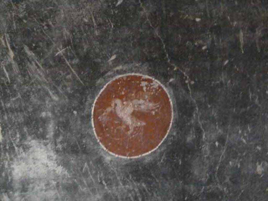 IX.13.1-3 Pompeii. May 2010. Room 15, west end of south wall, painted medallion with swan.