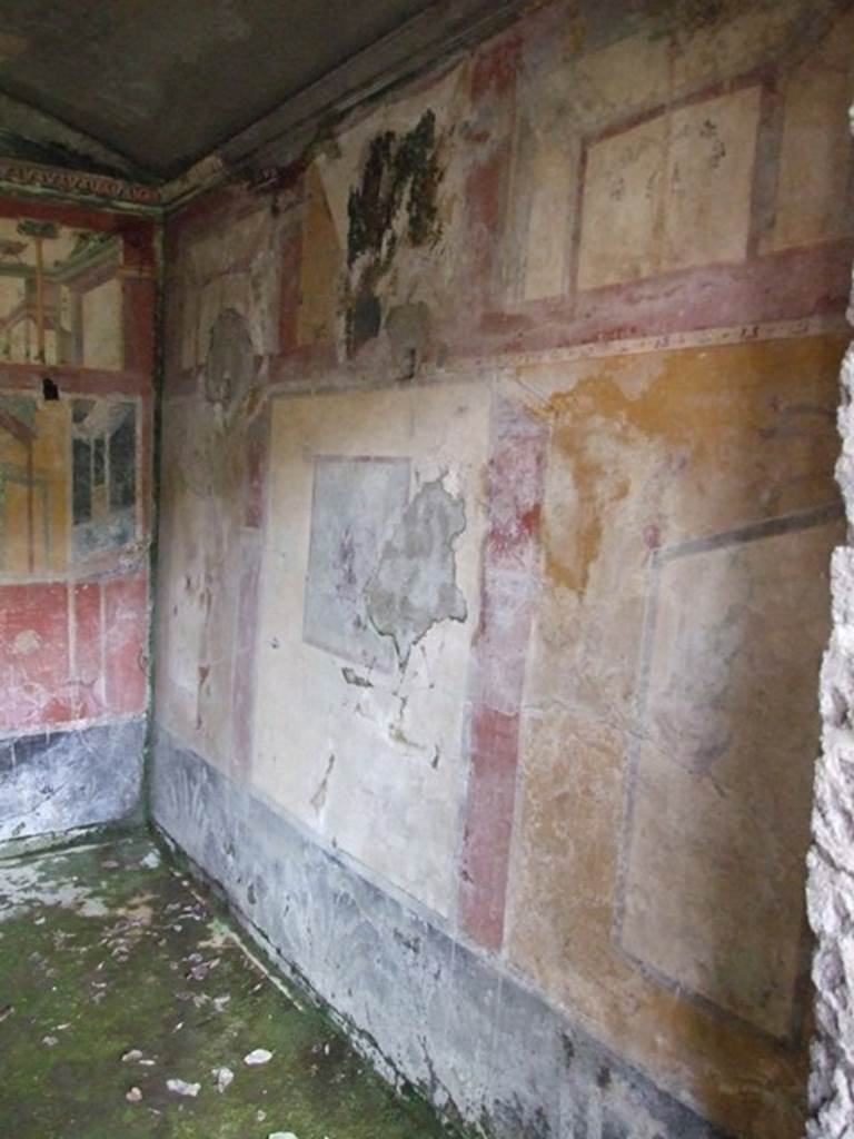 IX.13.1-3 Pompeii. March 2009. Room 17, west wall.