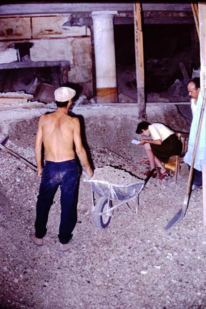 IX.13.1-3 Pompeii, 1973. Wilhelmina checking for a discovery. Photo by Stanley A. Jashemski. 
Source: The Wilhelmina and Stanley A. Jashemski archive in the University of Maryland Library, Special Collections (See collection page) and made available under the Creative Commons Attribution-Non Commercial License v.4. See Licence and use details. J73f0228
