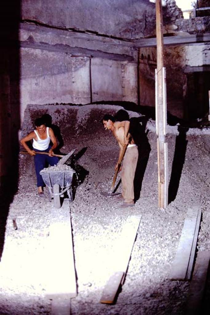 IX.13.1-3 Pompeii, 1973. Removal of lapilli near west wall of peristyle garden. Photo by Stanley A. Jashemski. 
Source: The Wilhelmina and Stanley A. Jashemski archive in the University of Maryland Library, Special Collections (See collection page) and made available under the Creative Commons Attribution-Non Commercial License v.4. See Licence and use details. J73f0263
