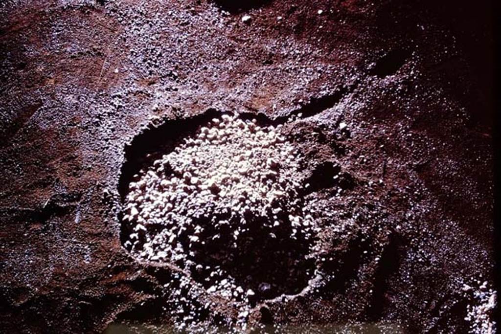 IX.13.1-3 Pompeii, 1973. Lapilli in the cavity. Photo by Stanley A. Jashemski.
Source: The Wilhelmina and Stanley A. Jashemski archive in the University of Maryland Library, Special Collections (See collection page) and made available under the Creative Commons Attribution-Non Commercial License v.4. See Licence and use details. J73f0445