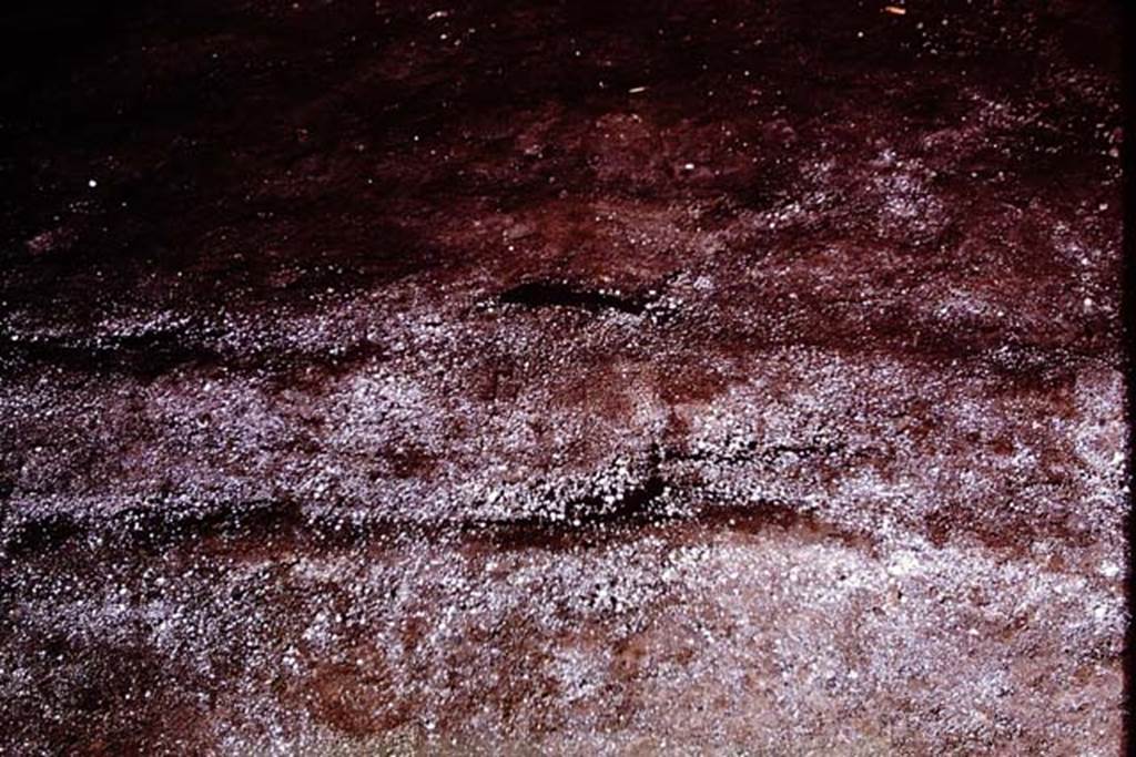 IX.13.1-3 Pompeii, 1973. Outline of ladder. Photo by Stanley A. Jashemski.
Source: The Wilhelmina and Stanley A. Jashemski archive in the University of Maryland Library, Special Collections (See collection page) and made available under the Creative Commons Attribution-Non Commercial License v.4. See Licence and use details. J73f0645