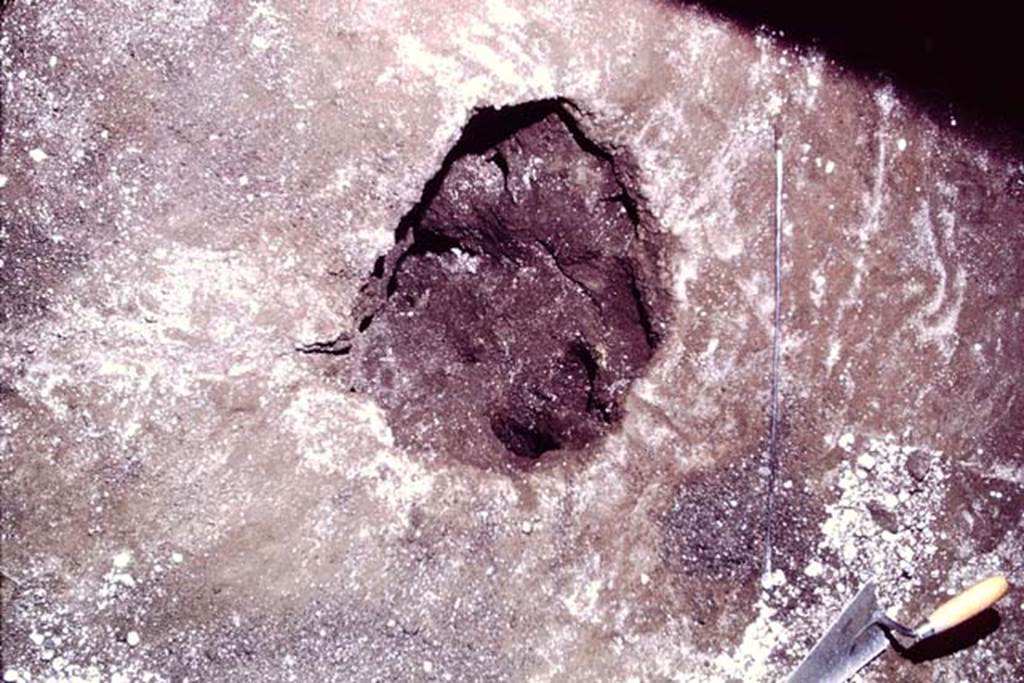 IX.13.1-3 Pompeii, 1973. Cleaned cavity. Photo by Stanley A. Jashemski.
Source: The Wilhelmina and Stanley A. Jashemski archive in the University of Maryland Library, Special Collections (See collection page) and made available under the Creative Commons Attribution-Non Commercial License v.4. See Licence and use details. J73f0461