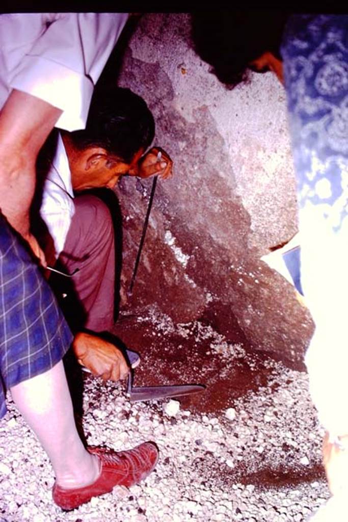 IX.13.1-3 Pompeii, 1973. Discovery at the base of the west wall. Photo by Stanley A. Jashemski.
Source: The Wilhelmina and Stanley A. Jashemski archive in the University of Maryland Library, Special Collections (See collection page) and made available under the Creative Commons Attribution-Non Commercial License v.4. See Licence and use details. J73f0480