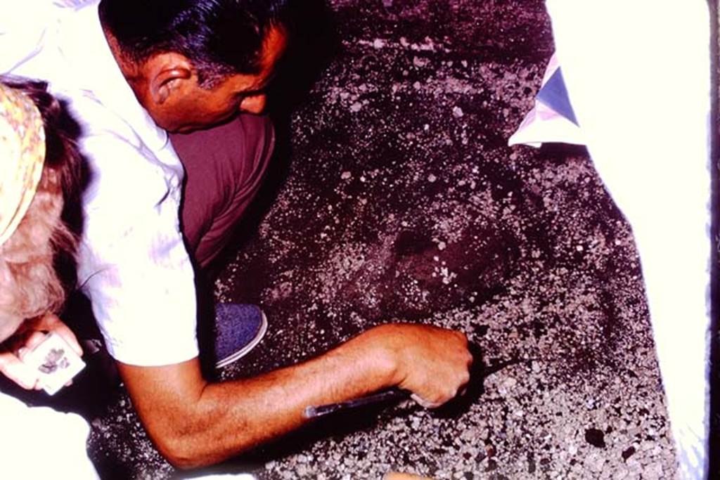 IX.13.1-3 Pompeii, 1973. Careful digging out of a Jashemski “sombrero”. Photo by Stanley A. Jashemski.
Source: The Wilhelmina and Stanley A. Jashemski archive in the University of Maryland Library, Special Collections (See collection page) and made available under the Creative Commons Attribution-Non Commercial License v.4. See Licence and use details. J73f0482