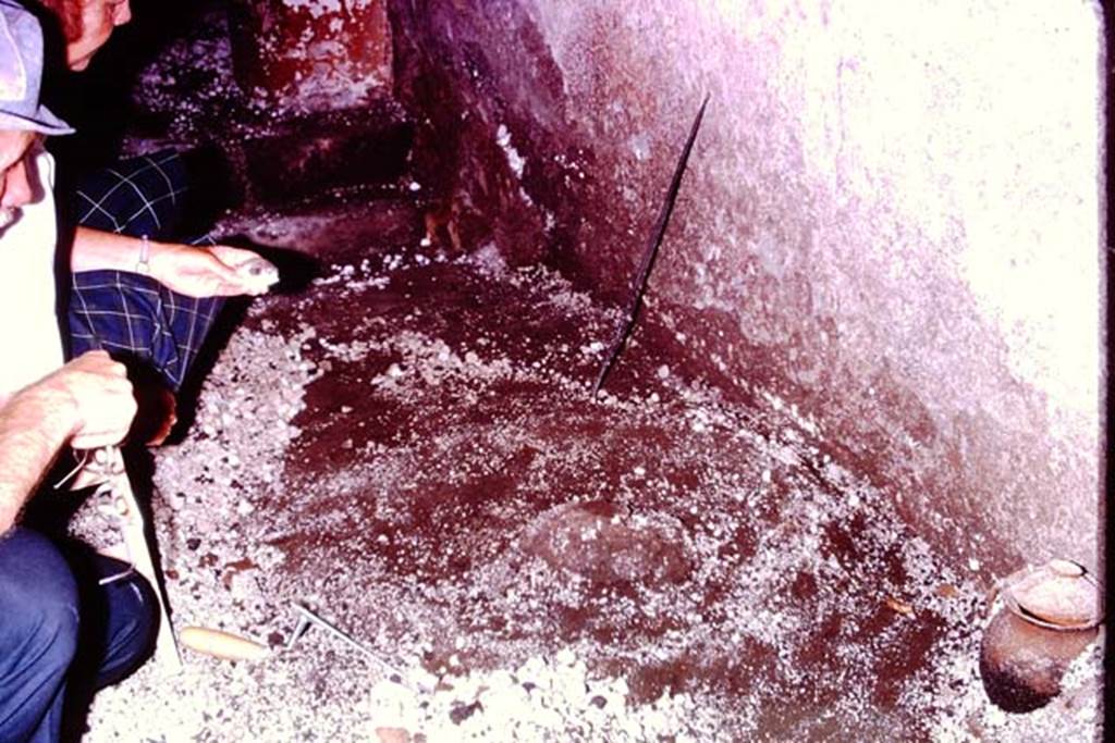 IX.13.1-3 Pompeii, 1973. Another “sombrero”. Photo by Stanley A. Jashemski.
Source: The Wilhelmina and Stanley A. Jashemski archive in the University of Maryland Library, Special Collections (See collection page) and made available under the Creative Commons Attribution-Non Commercial License v.4. See Licence and use details. J73f0483