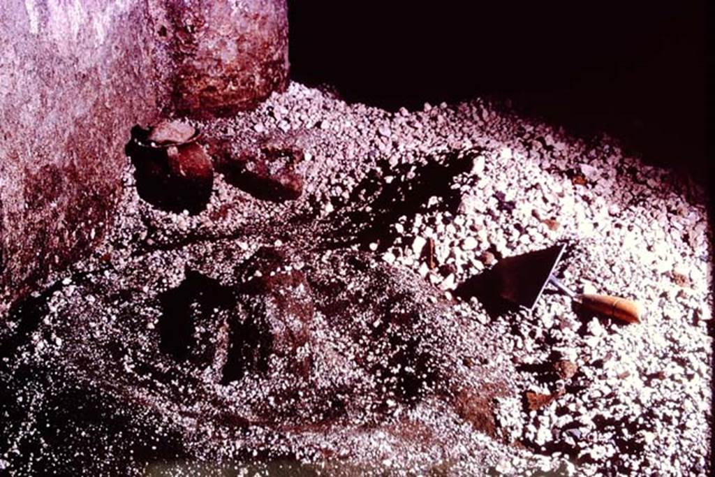 IX.13.1-3 Pompeii, 1973. Detail of “sombrero”. Photo by Stanley A. Jashemski.
Source: The Wilhelmina and Stanley A. Jashemski archive in the University of Maryland Library, Special Collections (See collection page) and made available under the Creative Commons Attribution-Non Commercial License v.4. See Licence and use details. J73f0485