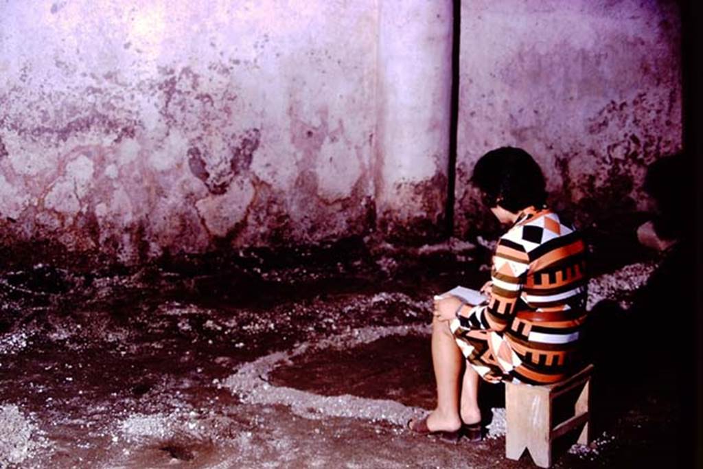 IX.13.1-3 Pompeii, 1973. Looking towards west wall of peristyle. Photo by Stanley A. Jashemski.
Source: The Wilhelmina and Stanley A. Jashemski archive in the University of Maryland Library, Special Collections (See collection page) and made available under the Creative Commons Attribution-Non Commercial License v.4. See Licence and use details. J73f0497