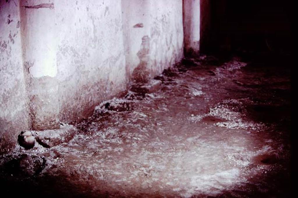 IX.13.1-3 Pompeii, 1973. Looking north along base of west wall of peristyle. Photo by Stanley A. Jashemski.
Source: The Wilhelmina and Stanley A. Jashemski archive in the University of Maryland Library, Special Collections (See collection page) and made available under the Creative Commons Attribution-Non Commercial License v.4. See Licence and use details. J73f0507