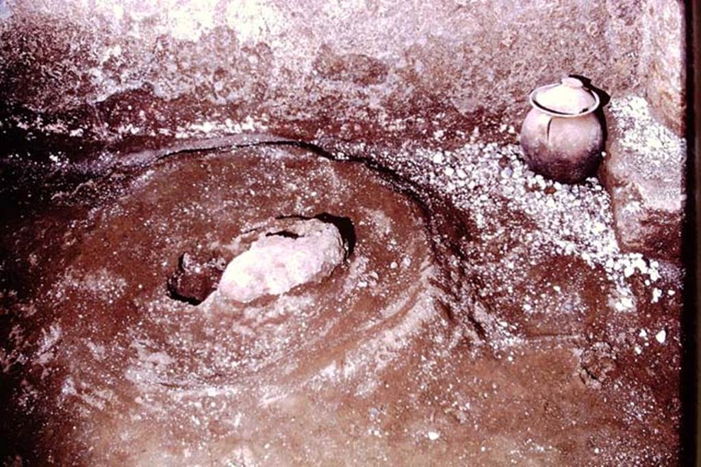 IX.13.1-3 Pompeii, 1973. “Sombrero” and pot at base of west wall. Photo by Stanley A. Jashemski.
Source: The Wilhelmina and Stanley A. Jashemski archive in the University of Maryland Library, Special Collections (See collection page) and made available under the Creative Commons Attribution-Non Commercial License v.4. See Licence and use details. J73f0557