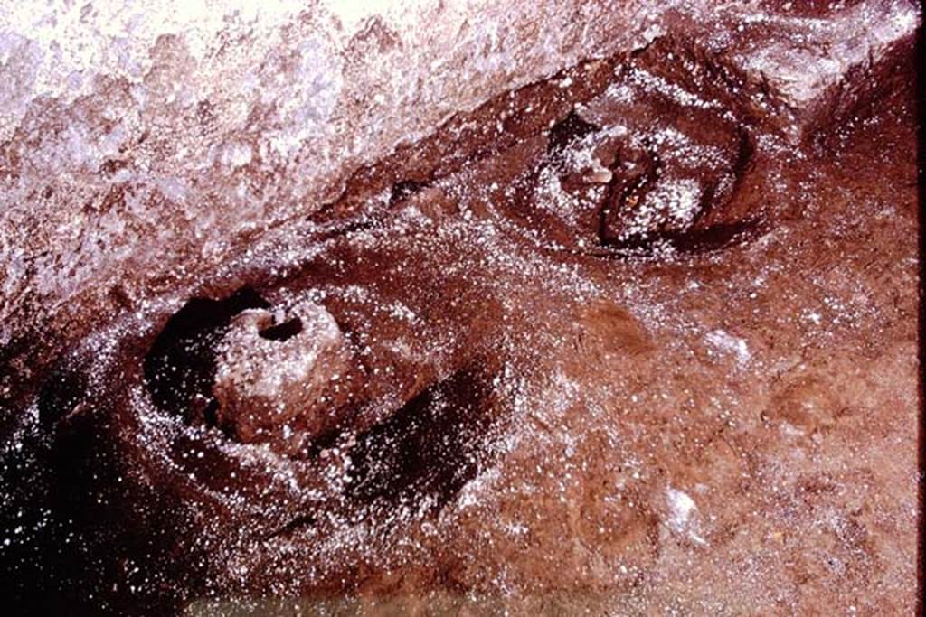 IX.13.1-3 Pompeii, 1973. “Sombreros” at base of west wall. Photo by Stanley A. Jashemski. 
Source: The Wilhelmina and Stanley A. Jashemski archive in the University of Maryland Library, Special Collections (See collection page) and made available under the Creative Commons Attribution-Non Commercial License v.4. See Licence and use details. J73f0562
