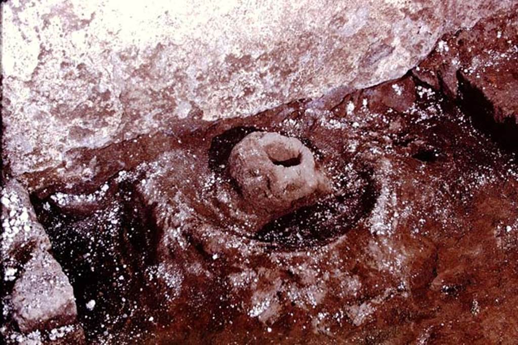 IX.13.1-3 Pompeii, 1973. “Sombrero” at base of west wall. Photo by Stanley A. Jashemski. 
Source: The Wilhelmina and Stanley A. Jashemski archive in the University of Maryland Library, Special Collections (See collection page) and made available under the Creative Commons Attribution-Non Commercial License v.4. See Licence and use details. J73f0566
