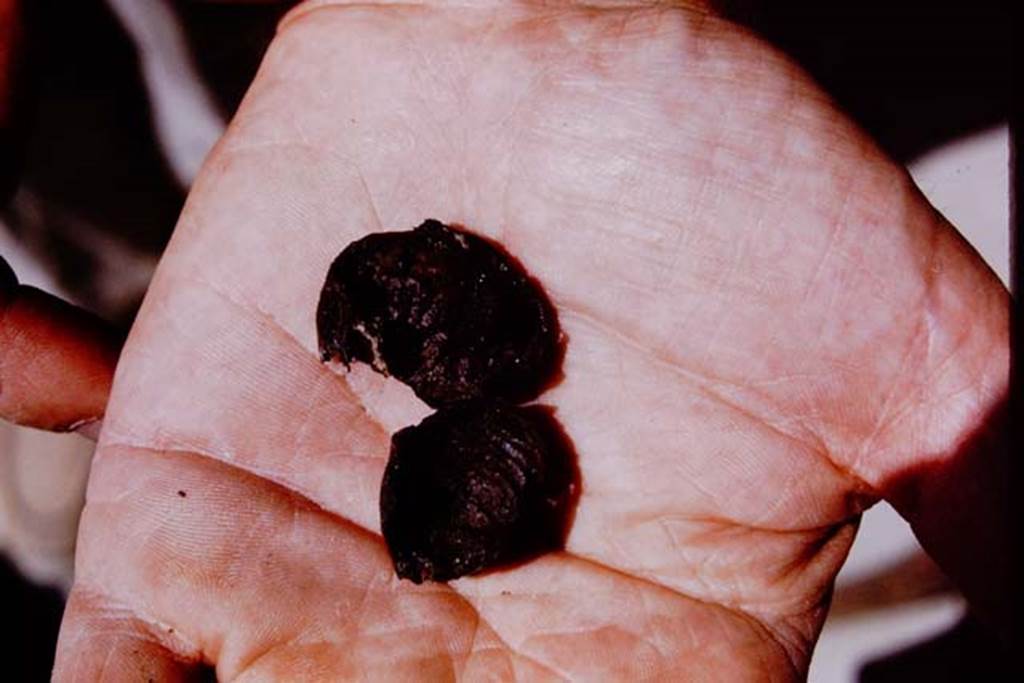 IX.13.1-3 Pompeii, 1973. Pieces of charcoal. According to Wilhelmina, “Near the root identified as a fig, many small misshapen pieces of charcoal were found, which were later identified as being figs ». Photo by Stanley A. Jashemski. 
Source: The Wilhelmina and Stanley A. Jashemski archive in the University of Maryland Library, Special Collections (See collection page) and made available under the Creative Commons Attribution-Non Commercial License v.4. See Licence and use details. J73f0387
