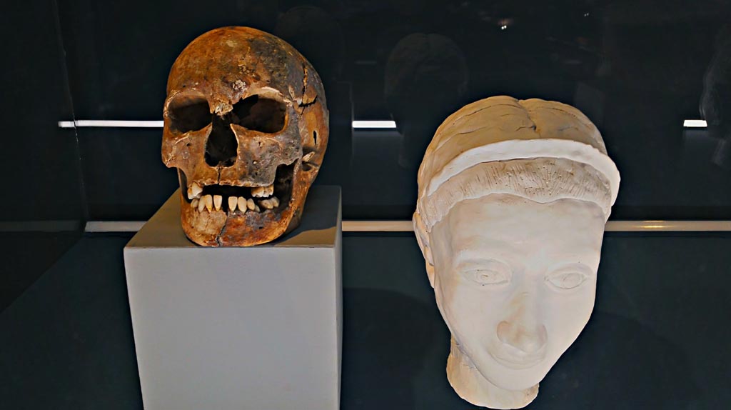 IX.13.1/3 Pompeii. December 2019. 
Skeleton of head and reconstructed face of a young girl of around 20 years in the last months of pregnancy at the time of the eruption;
Photo courtesy of Giuseppe Ciaramella.
