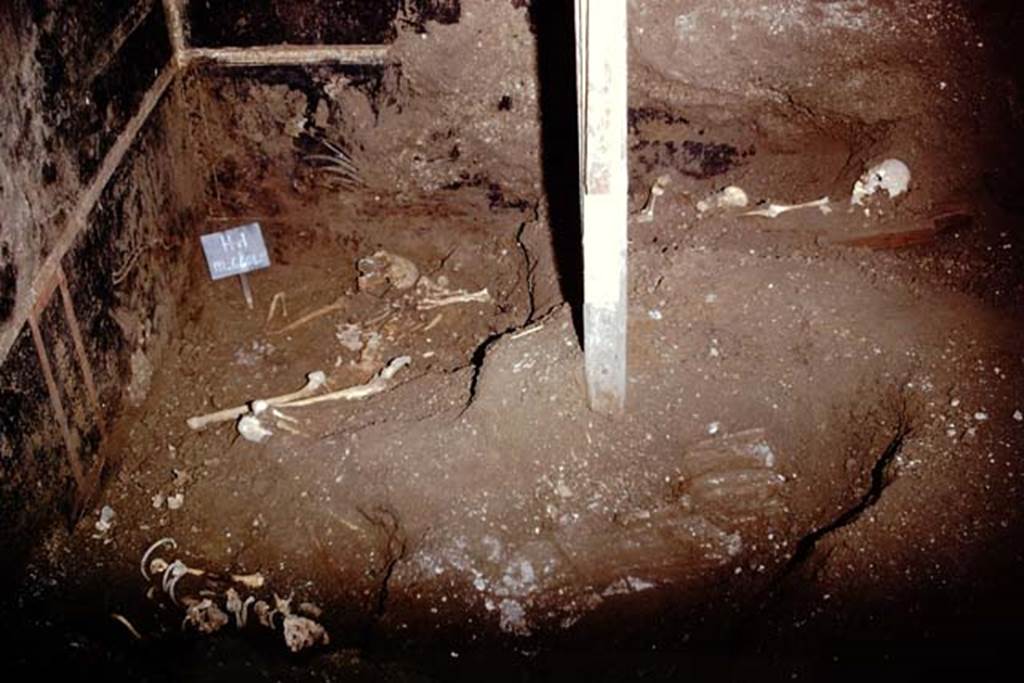 IX.13.1-3 Pompeii. 1974. Discovery of skeletons in Room 10, near east wall.
These are believed to be Julius Polybius and his family. Photo by Stanley A. Jashemski.   
Source: The Wilhelmina and Stanley A. Jashemski archive in the University of Maryland Library, Special Collections (See collection page) and made available under the Creative Commons Attribution-Non Commercial License v.4. See Licence and use details. J74f0859
