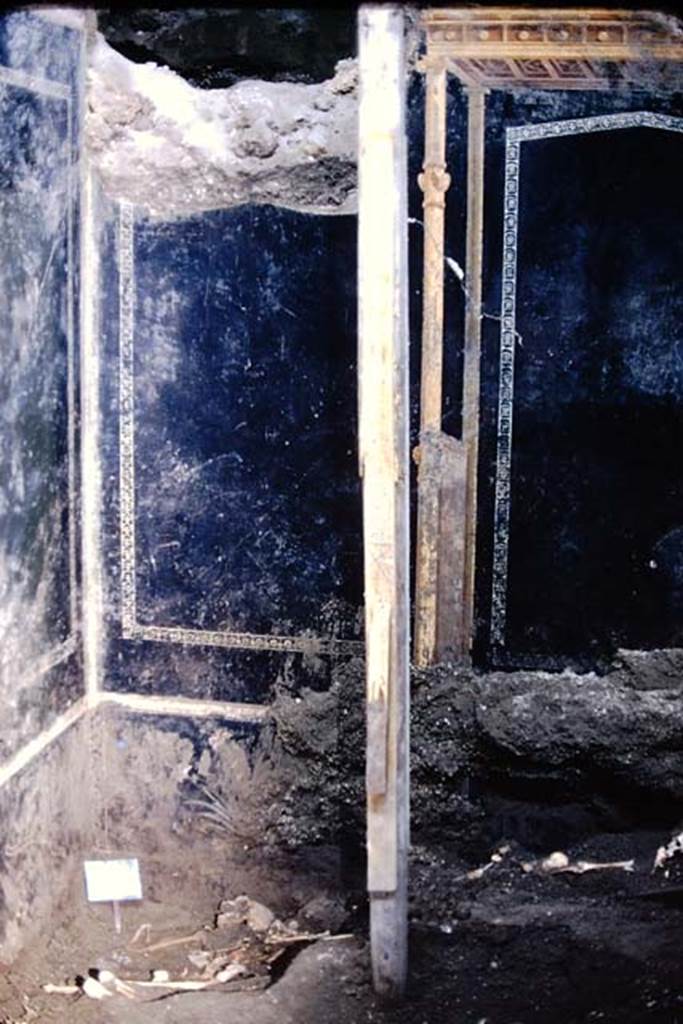 IX.13.1-3 Pompeii. 1974. Room 10, north-west corner. Photo by Stanley A. Jashemski.   
Source: The Wilhelmina and Stanley A. Jashemski archive in the University of Maryland Library, Special Collections (See collection page) and made available under the Creative Commons Attribution-Non Commercial License v.4. See Licence and use details. J74f0862
