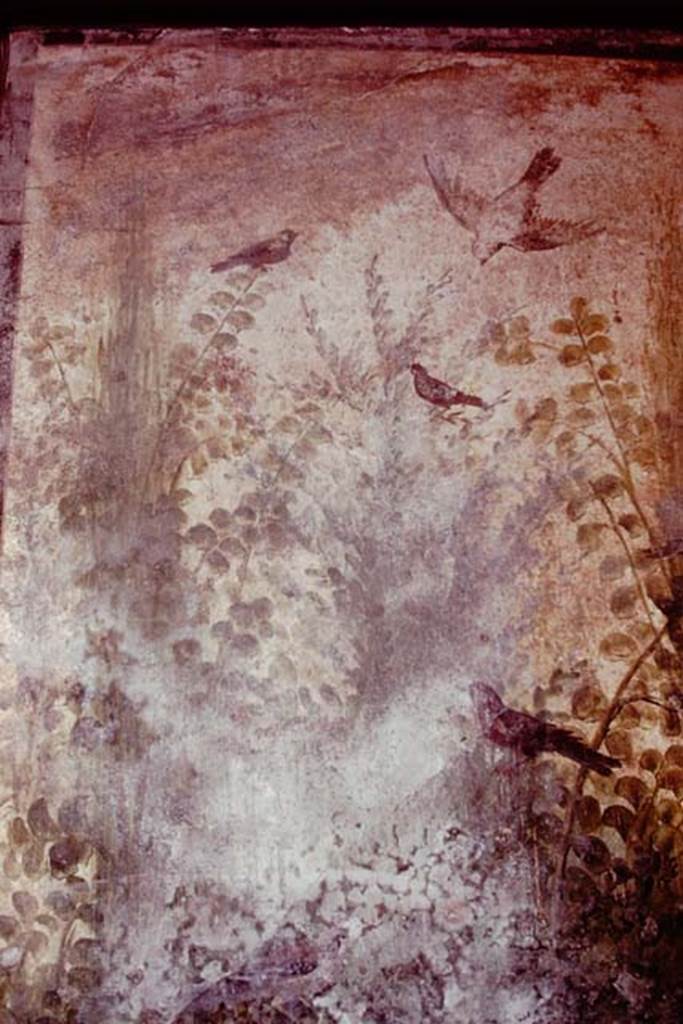 IX.13.1-3 Pompeii, 1978. Room 12, top of painting on west wall. 
Photo by Stanley A. Jashemski.   
Source: The Wilhelmina and Stanley A. Jashemski archive in the University of Maryland Library, Special Collections (See collection page) and made available under the Creative Commons Attribution-Non Commercial License v.4. See Licence and use details.
J78f0532
