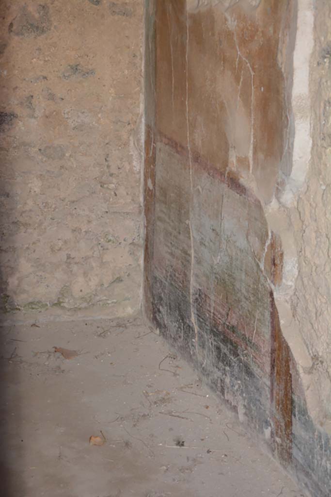 IX.14.4 Pompeii. September 2019. Room 5, detail from lower west wall in south-west corner.
Foto Annette Haug, ERC Grant 681269 DÉCOR.
