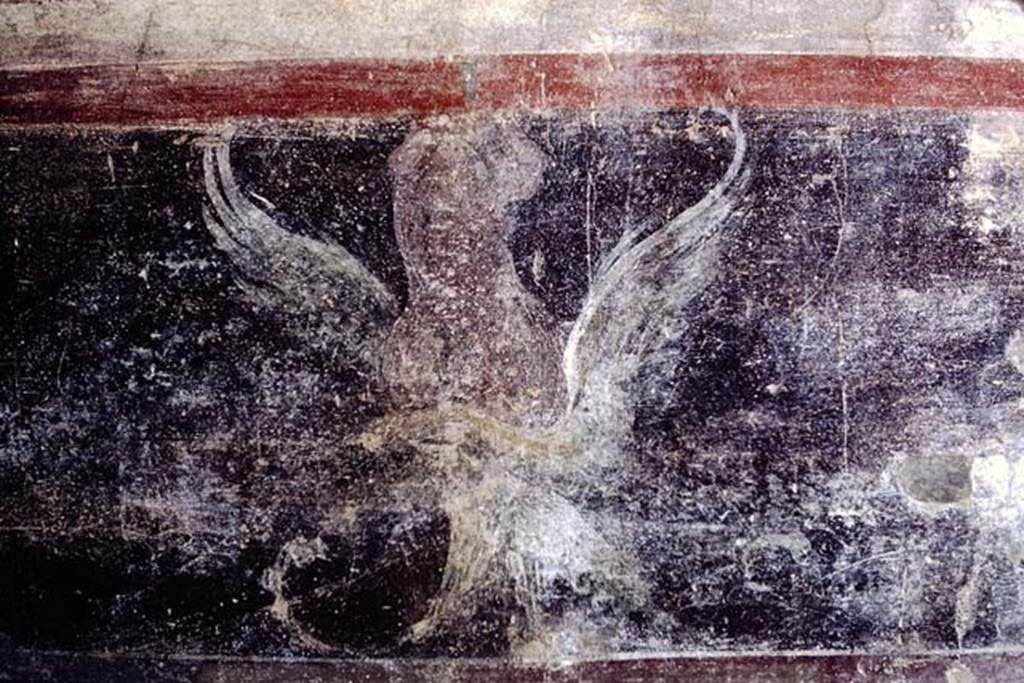 IX.14.4 Pompeii. 1968. Room 3, painted decoration from east wall zoccolo. Photo by Stanley A. Jashemski.
Source: The Wilhelmina and Stanley A. Jashemski archive in the University of Maryland Library, Special Collections (See collection page) and made available under the Creative Commons Attribution-Non Commercial License v.4. See Licence and use details.
J68f1535