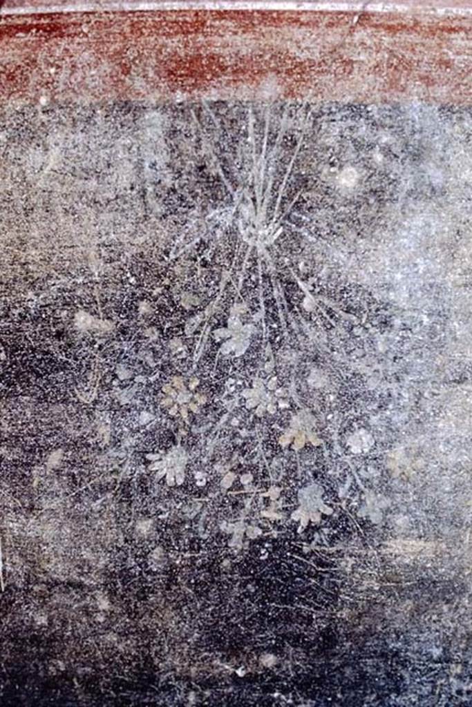 IX.14.4 Pompeii. 1968. Room 3, painted decoration from south wall zoccolo.
Photo by Stanley A. Jashemski.
Source: The Wilhelmina and Stanley A. Jashemski archive in the University of Maryland Library, Special Collections (See collection page) and made available under the Creative Commons Attribution-Non Commercial License v.4. See Licence and use details.
J68f1532