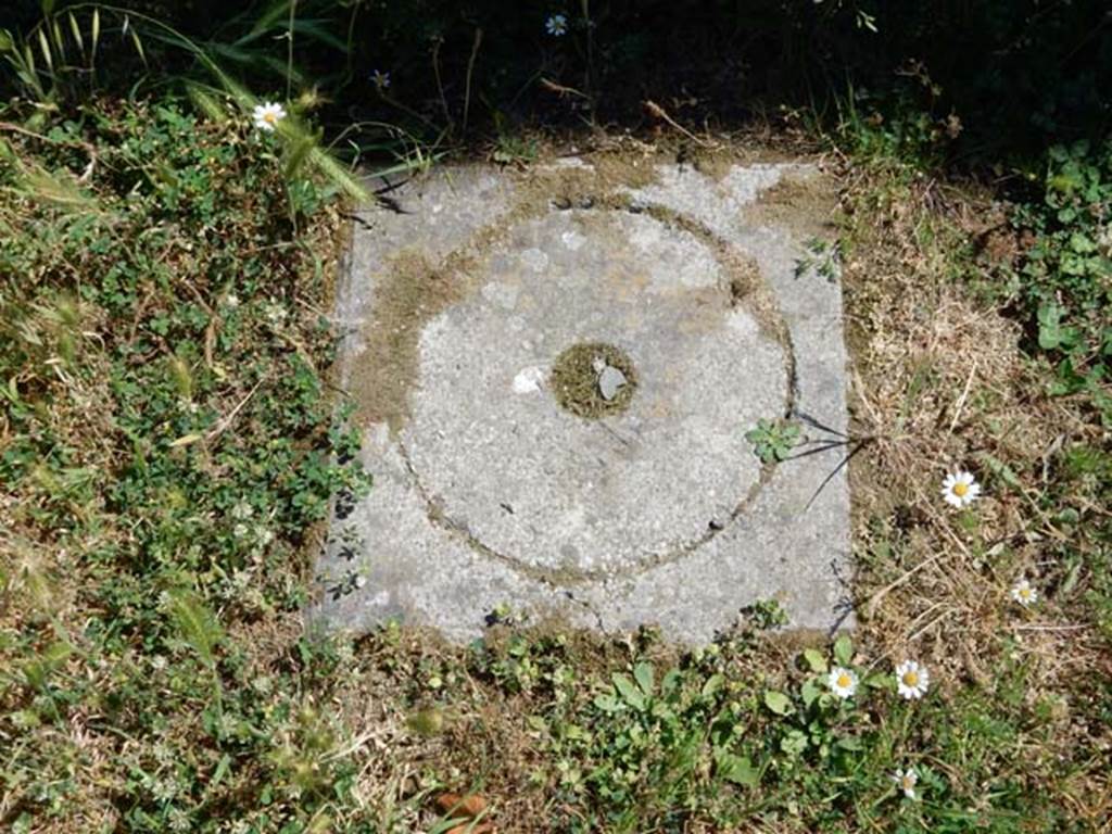 IX.14.4 Pompeii. May 2017. Cistern-mouth in south-west corner of peristyle 1. Photo courtesy of Buzz Ferebee.

