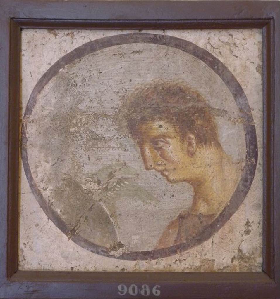 HGW06 Pompeii.  Found 25th October 1760 in Villa of Cicero.  Round painted portrait panel of a female figure with a bird in front of her.  Now in Naples Archaeological Museum.  Inventory number 9086. See Prisciandaro, R., 2006. Studio sulle provenienze degli oggetti rinvenuti negli scavi borbonici del regno di Napoli: Una lettura integrata, coordinata e commentata della documentazione Volume 1.  Naples : Nicola Longobardi.  (p.36).