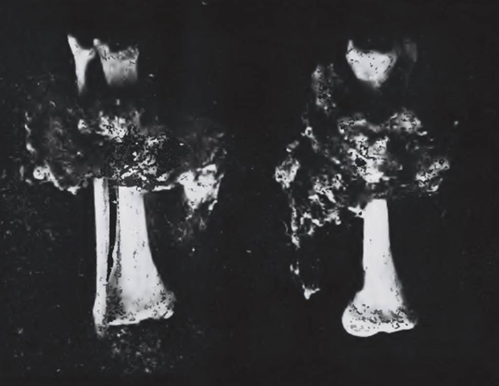 HGE12 Pompeii. 17th October 1905. Photo of iron fetters around leg bones of a slave. See Notizie degli Scavi di Antichit�, 1910, p. 259-260, fig. 3.