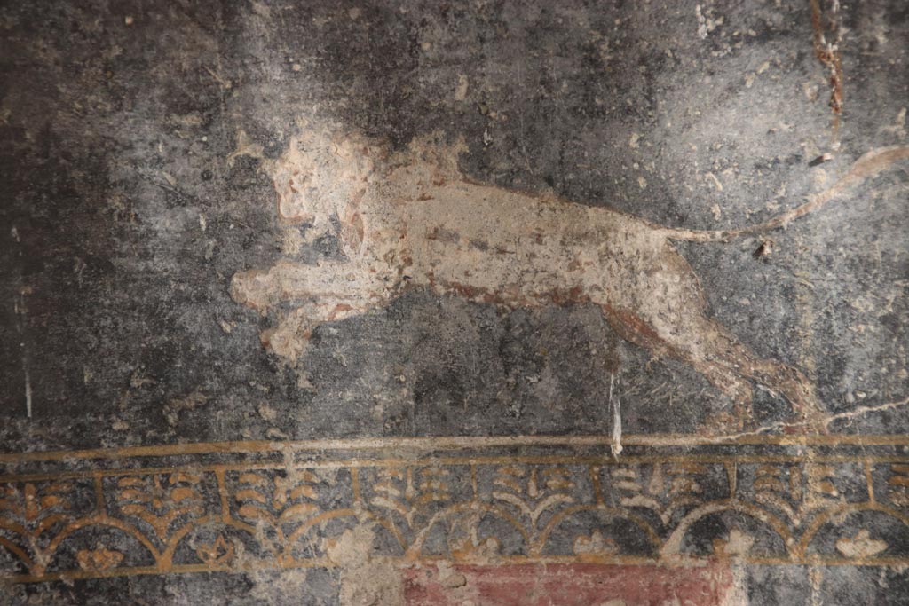 Villa San Marco, Stabiae, October 2022. Room 53, detail from zoccolo under south-wall window. Photo courtesy of Klaus Heese.