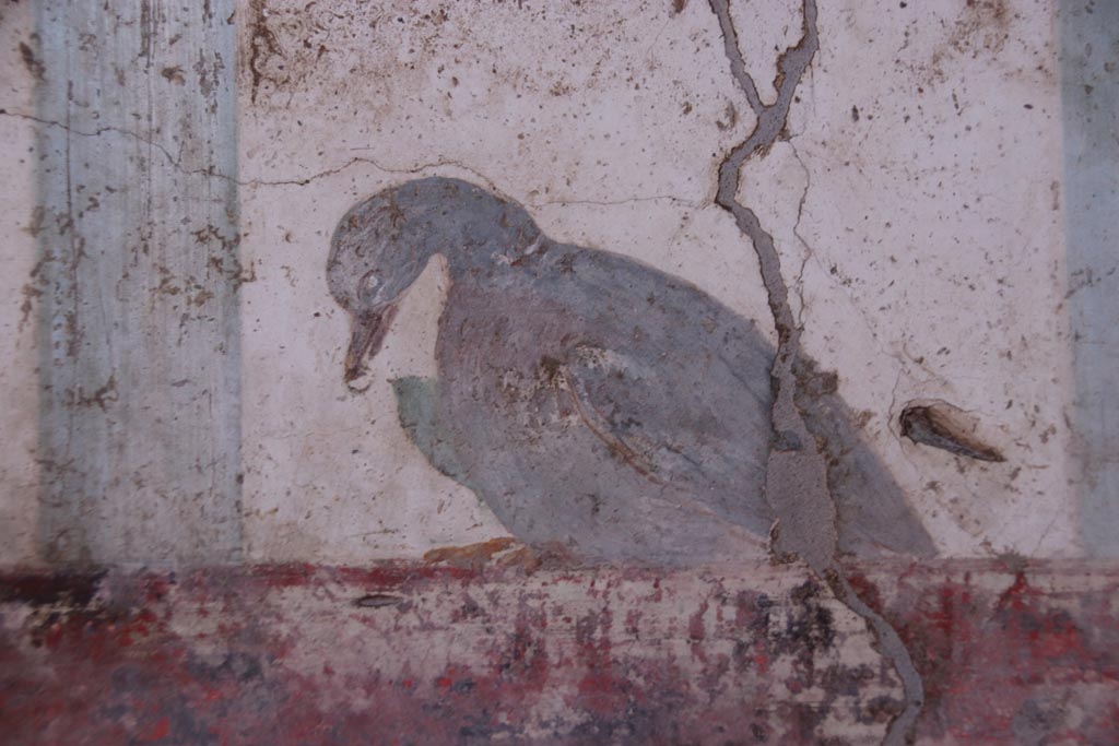 Villa San Marco, Stabiae, October 2022. Room 50, detail of bird from south end of west wall. Photo courtesy of Klaus Heese.