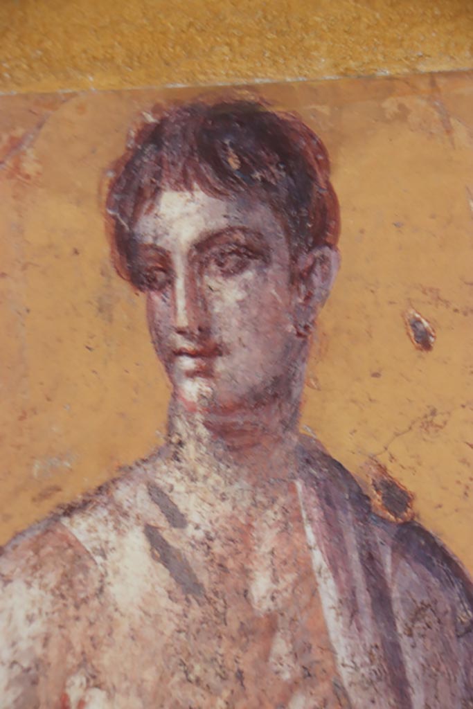 Villa San Marco, Stabiae, October 2022.
Room 50, detail from painted figure from east end of north wall. Photo courtesy of Klaus Heese.