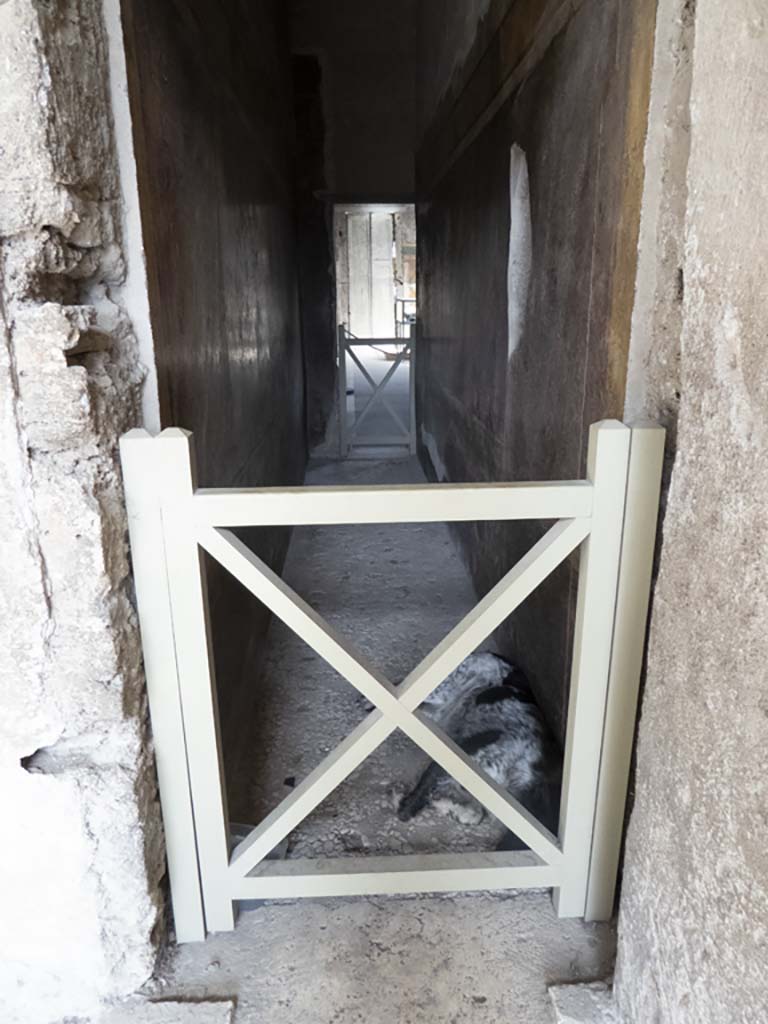 Villa of Mysteries, Pompeii. September 2017. Corridor F3, looking east towards atrium.  
Foto Annette Haug, ERC Grant 681269 DÉCOR.

