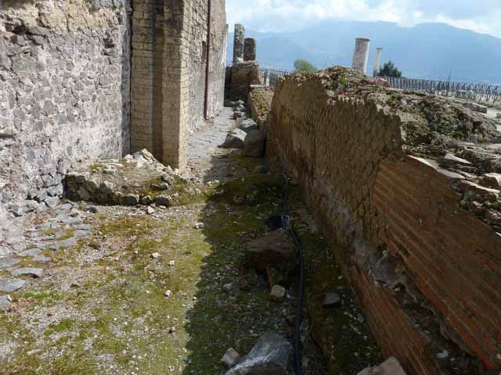 Unnamed vicolo between VIII.1.3 and VIII.1.1 on south side of Via Marina. May 2010. Looking south.