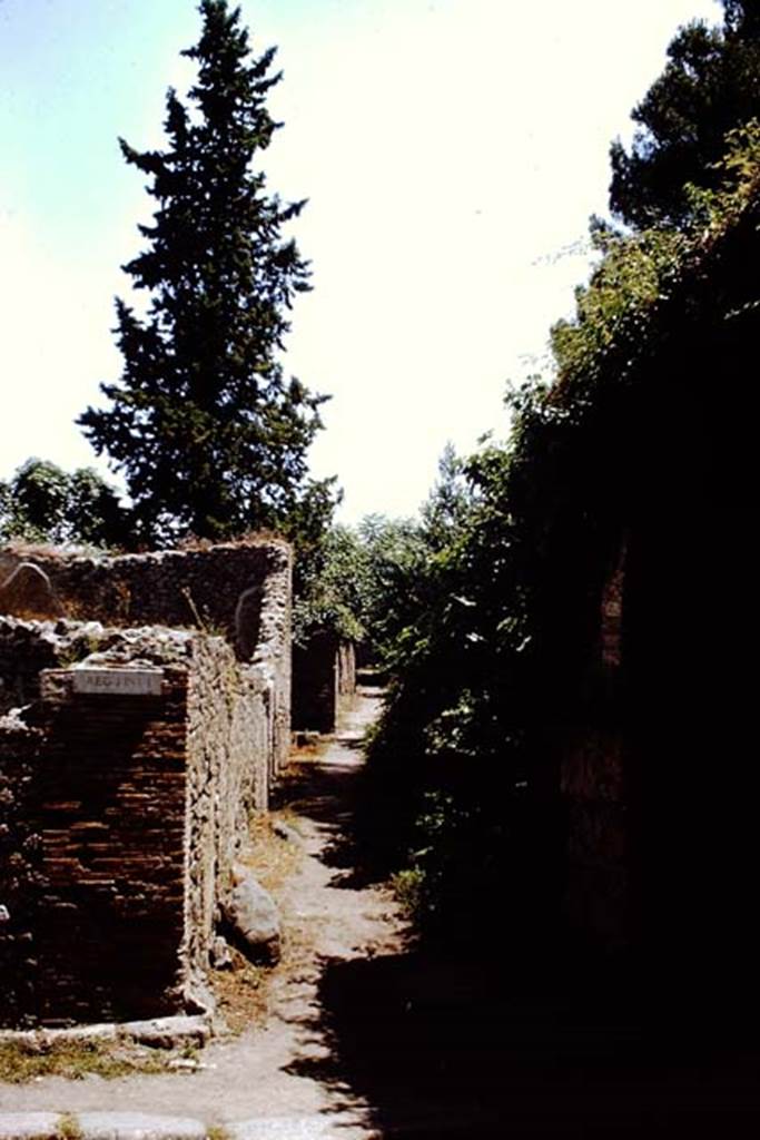 Unnamed vicolo south of I.1 and I.5. 1966. Looking east from Via Stabiana. Photo by Stanley A. Jashemski.
Source: The Wilhelmina and Stanley A. Jashemski archive in the University of Maryland Library, Special Collections (See collection page) and made available under the Creative Commons Attribution-Non Commercial License v.4. See Licence and use details.
J66f0195