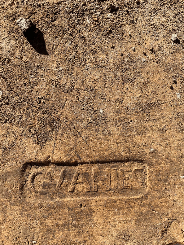 Via di Nocera a Sant'Abbondio. April 2021. Among the finds also some large tiles pertaining to the cover of the portal, three of which bearing a stamp, transported to the deposits of the Park. 

Via di Nocera a Sant'Abbondio. Aprile 2021. Tra i reperti anche alcune tegole di grosse dimensioni pertinenti alla copertura del portale, di cui tre recanti un bollo, trasportate nei depositi del Parco.

Photograph � Parco Archeologico di Pompei.
