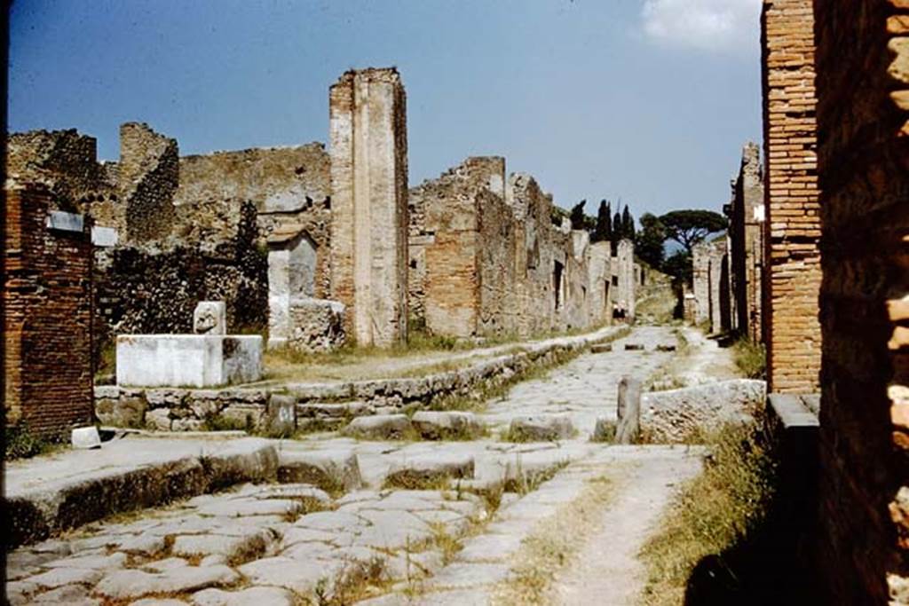 Via del Vesuvio, 1959. Looking north. Photo by Stanley A. Jashemski.
Source: The Wilhelmina and Stanley A. Jashemski archive in the University of Maryland Library, Special Collections (See collection page) and made available under the Creative Commons Attribution-Non Commercial License v.4. See Licence and use details.
J59f0418
