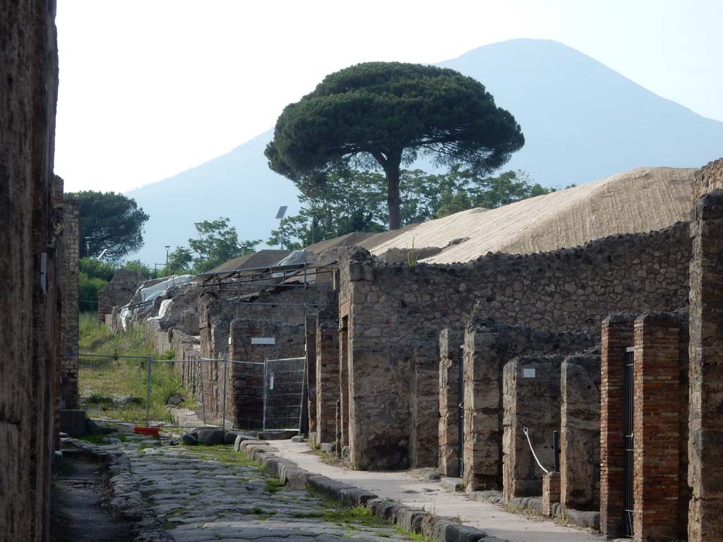 Via del Vesuvio, Pompeii. June 2019. Looking north from between VI.14 and V.1. 
Left of centre is the newly excavated insula, V.6. Photo courtesy of Buzz Ferebee.
