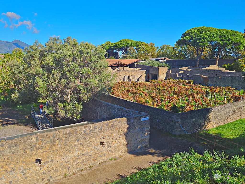 Vicolo dei Fuggiaschi, Pompeii. October 2024. 
Looking north-east across I.21 on left, Vicolo dei Fuggiaschi, in centre, and I.20.1 on right. Photo courtesy of Giuseppe Ciaramella.
